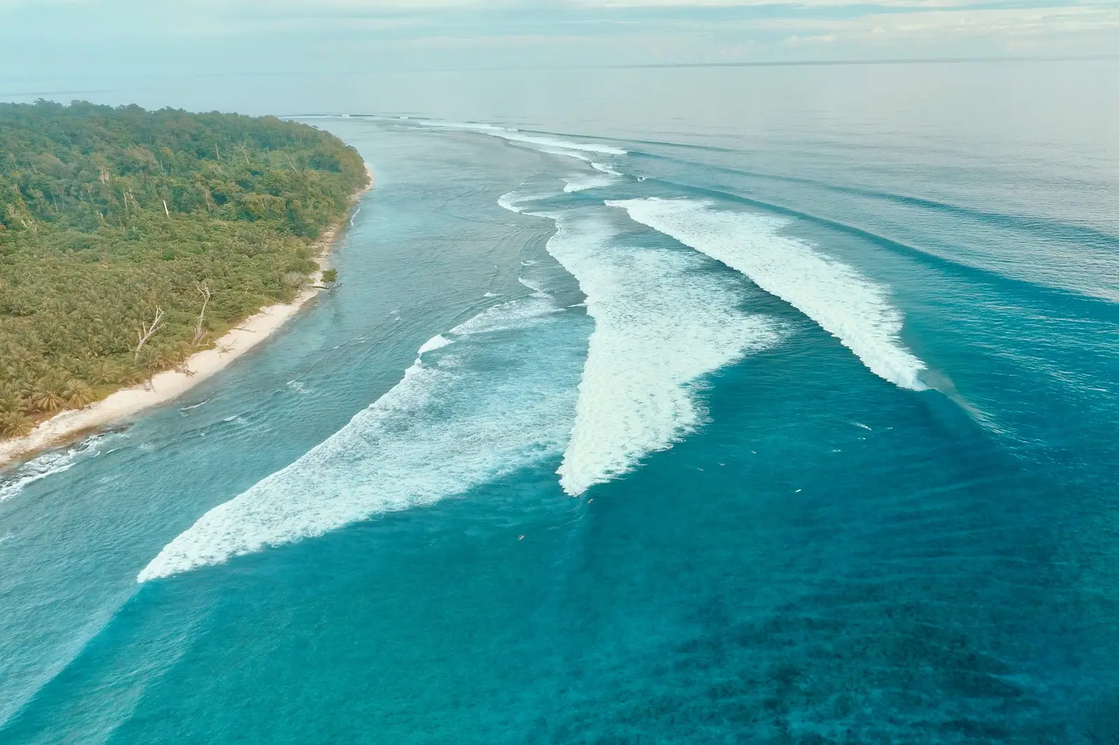 A long wave peeling down a reef beside an empty jungle beach, seen from the air